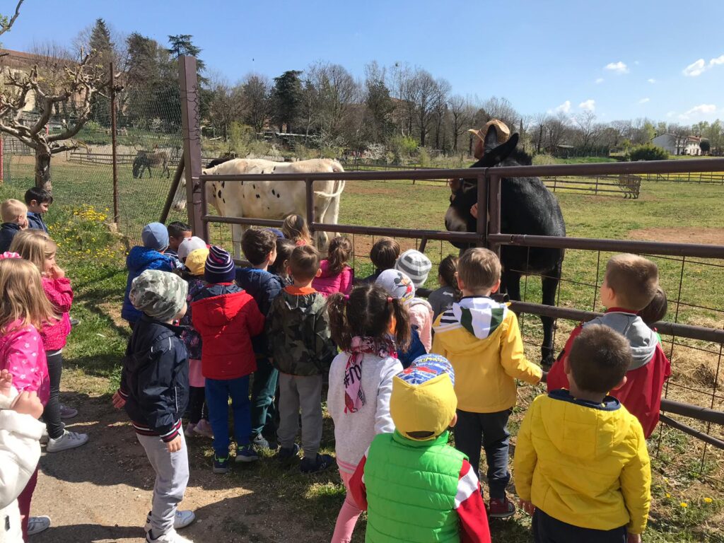 bambini fattoria visita guidata perfetta letizia bambini fattoria visita guidata perfetta letizia