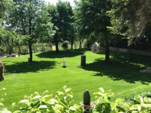 giardino parco perfetta letizia